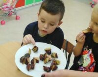 Dzień Śliwki w Przedszkolu w Radkowicach